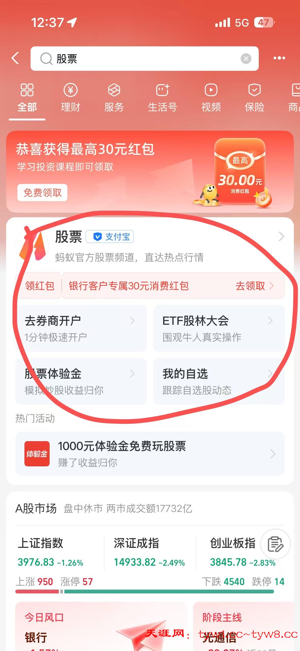 mmexport1780893537196.jpg